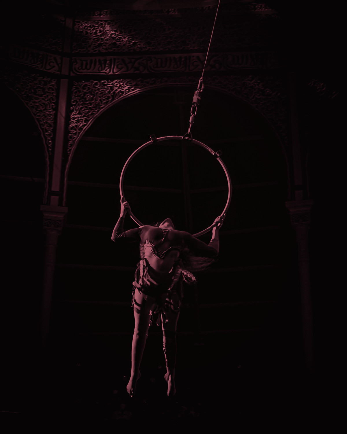 Aerial Elegance